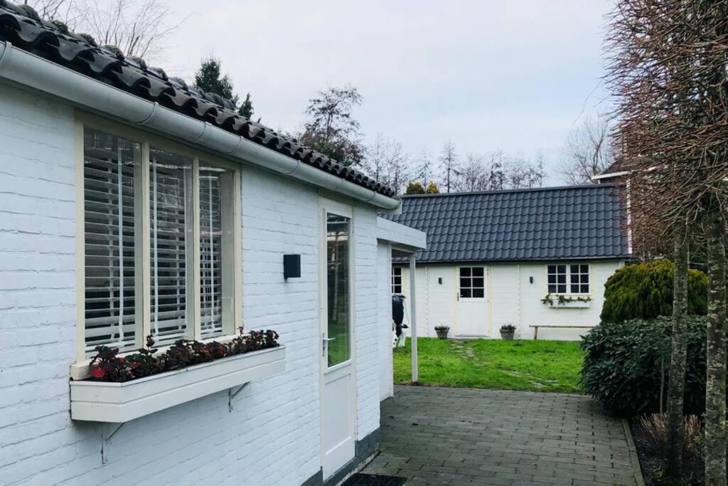 Tiny House In Tuin Van De Statige Villa Mariahof Dordrecht Kültér fotó